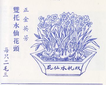 Chinese New Year and “the Chinese Lily.”